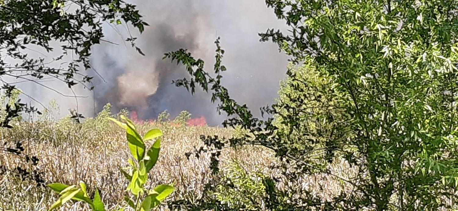 Incendio en islas: el fuego casi arrasa una escuela en Baradero y hubo que evacuar a los alumnos