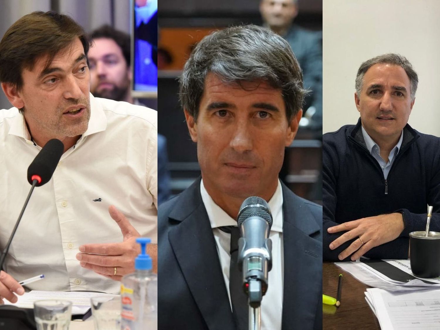 Iparraguirre, Civale y Santamarina compartieron su mirada sobre la propuesta presidencial para intervenir la Provincia.