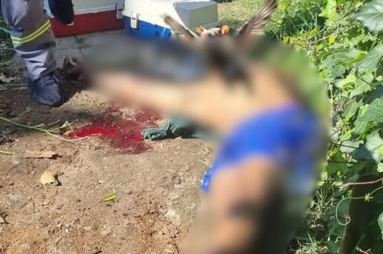 Uno de los agresores cayó muerto en el lugar.