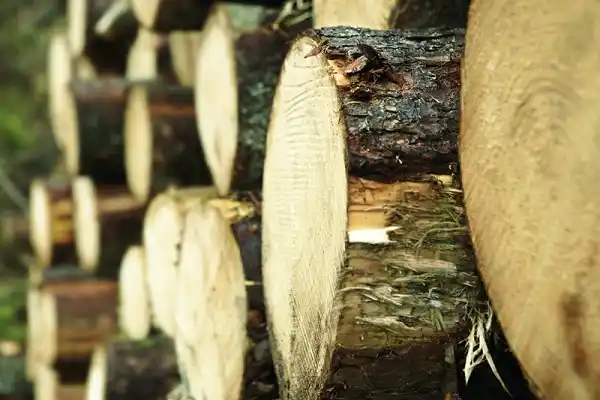 Se avecina un nuevo conflicto económico 