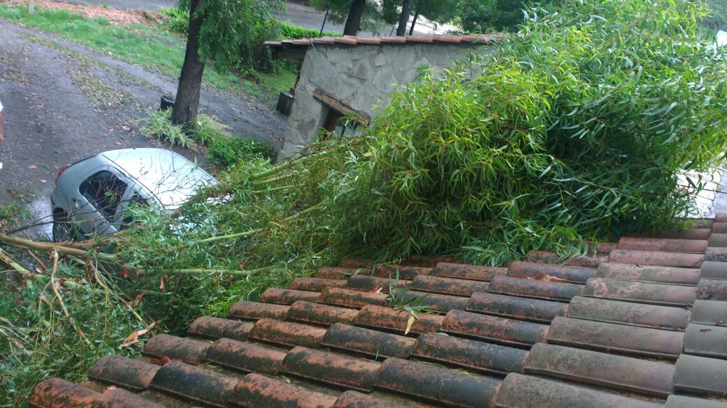 Provincia enviará recursos a la ciudad por los daños del temporal