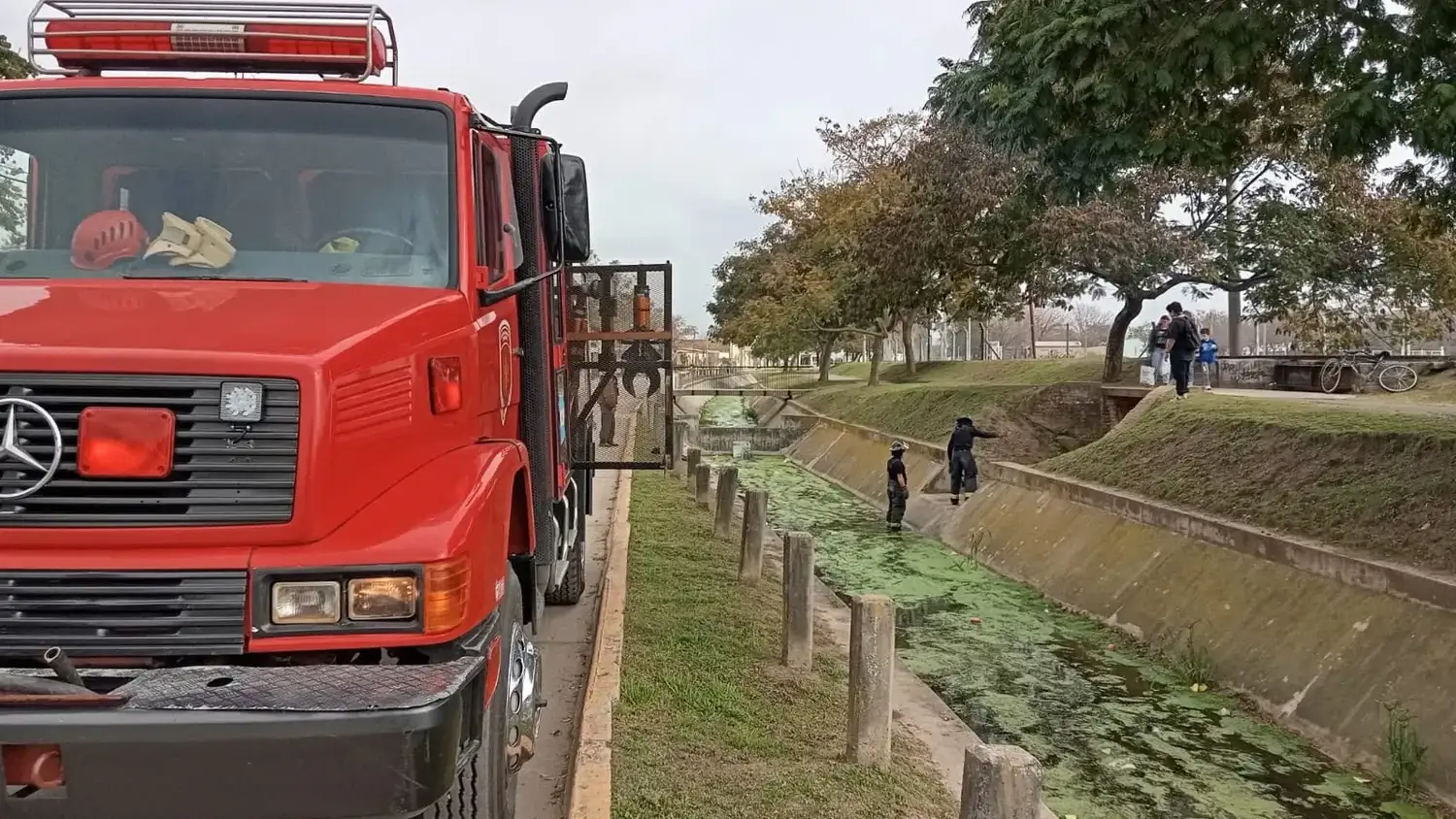 recate de perro - 3