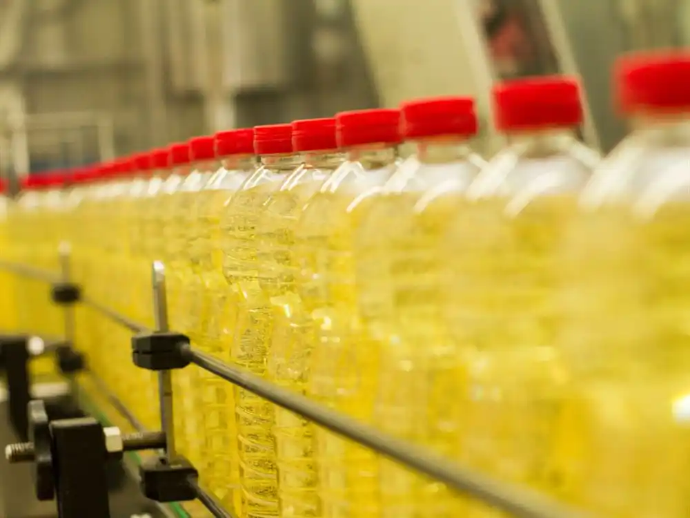 La producción industrial santafesina creció durante el pasado mes de noviembre 2024