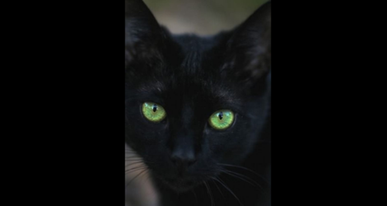 Buscan a Luna
