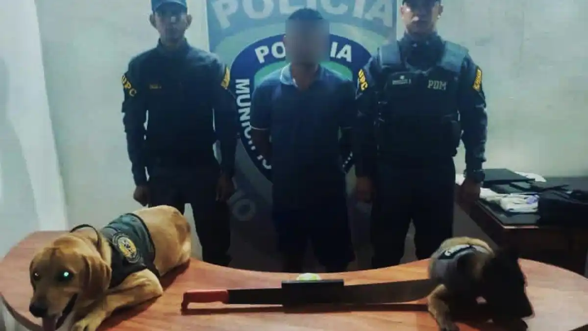 Arrestaron a pastor de ovejas por agredir a un perro que atacó su rebaño