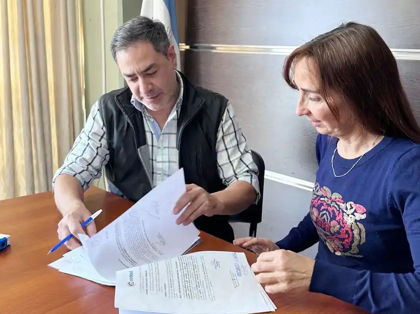 Trabajan en la mejora integral del Camping Las Palmeras