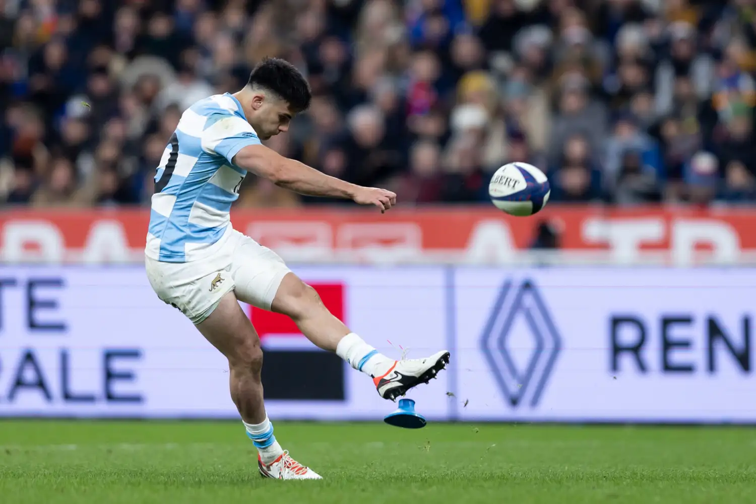 pumas