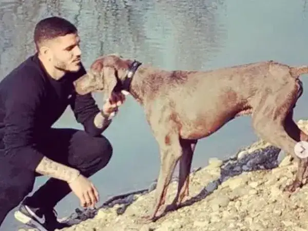 Wanda Nara acusó a Icardi de prender fuego al perro de la familia en la parrilla