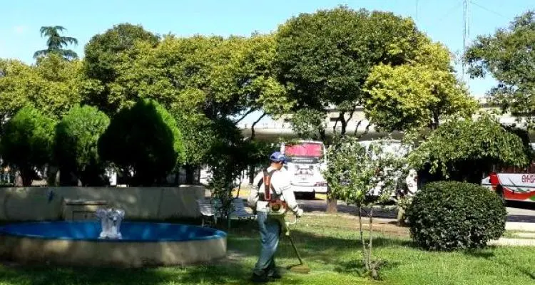 Tareas de mantenimiento en la plaza de la Terminal