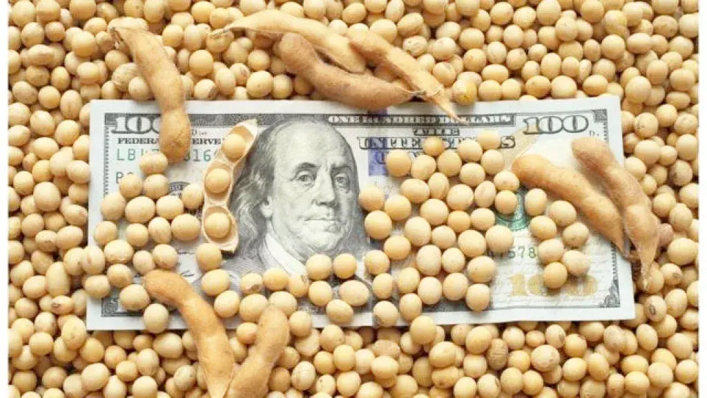 Estiman que el agro aportará US$4.613 millones por retenciones en 2026