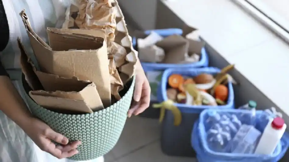 Reciclaje del papel, un aliado de la economía circular