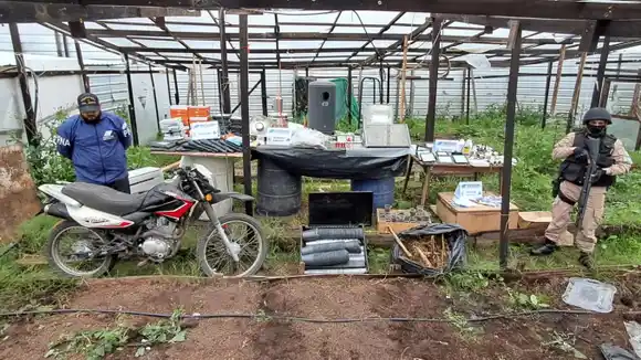 Mar del Plata: Prefectura desarticuló un invernadero destinado a producir sustancias ilegales