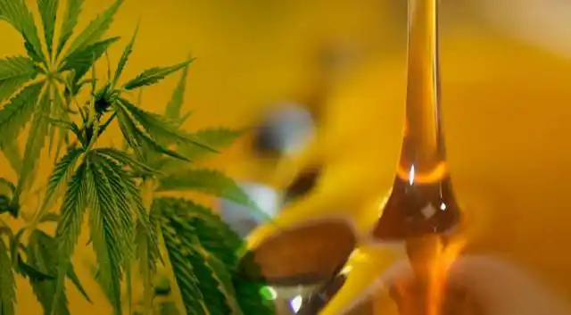 La marihuana medicinal ya es ley