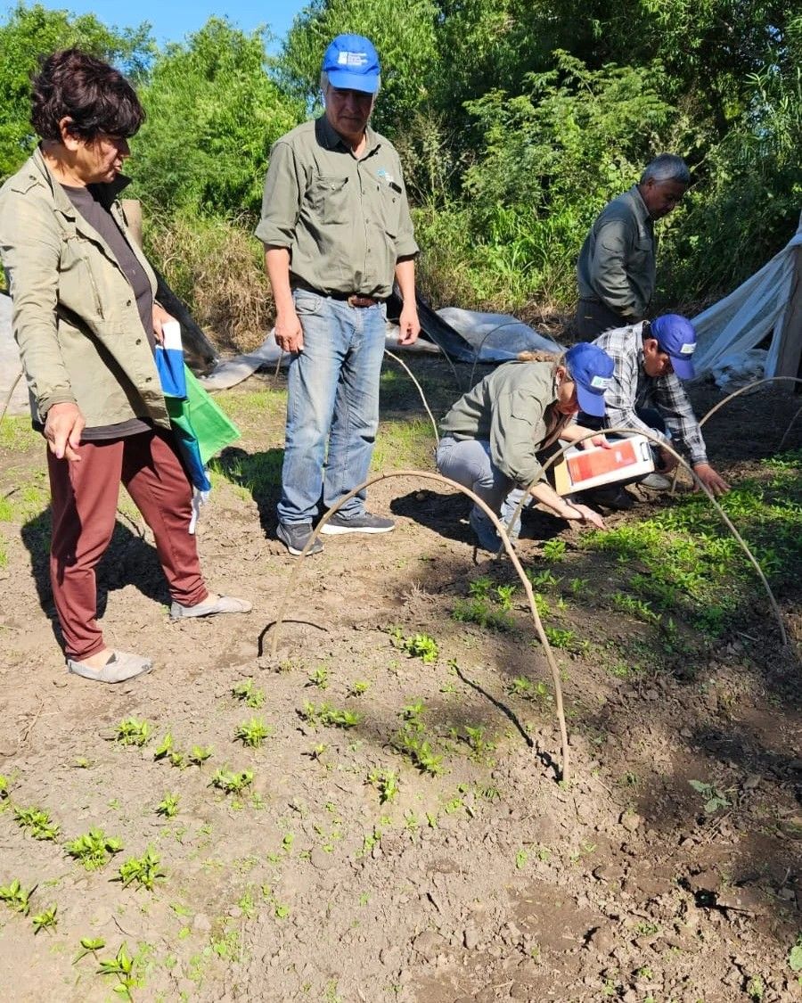 Monitoreo de producción hortícola en Misión Tacaaglé