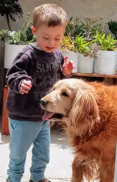 El Jardín de Theo: Un emprendimiento familiar que merece nuestra ayuda