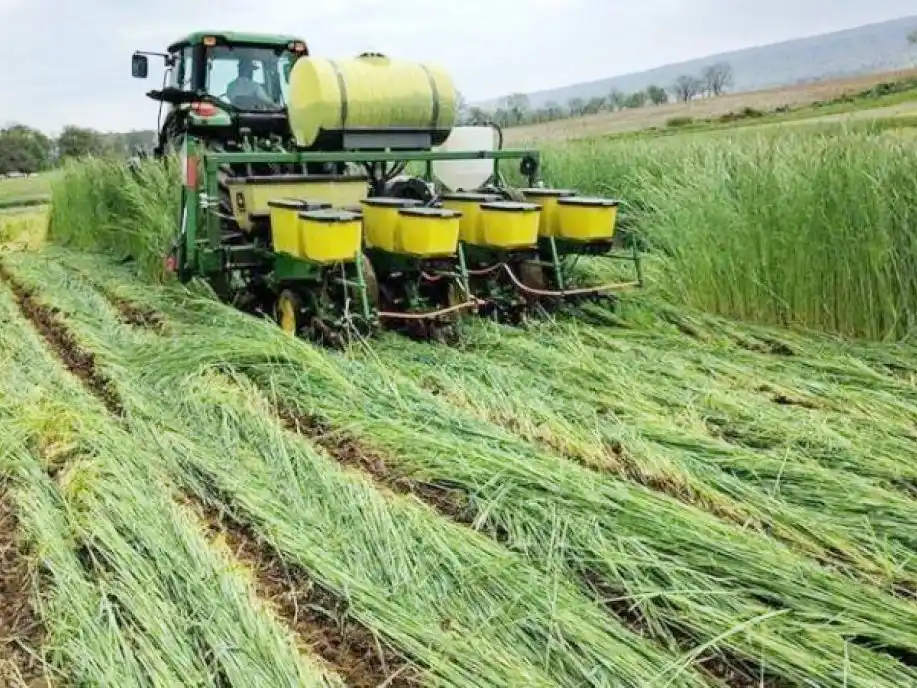 ¡En Córdoba les bajan impuestos a los productores que trabajen su tierra!