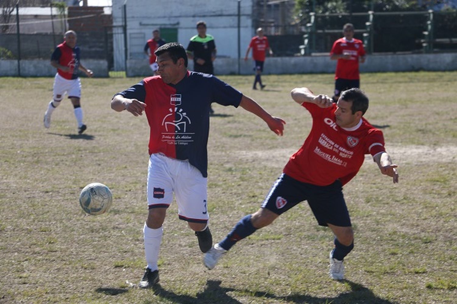 Se definieron los cuatro  semifinalistas del torneo de  Veteranos