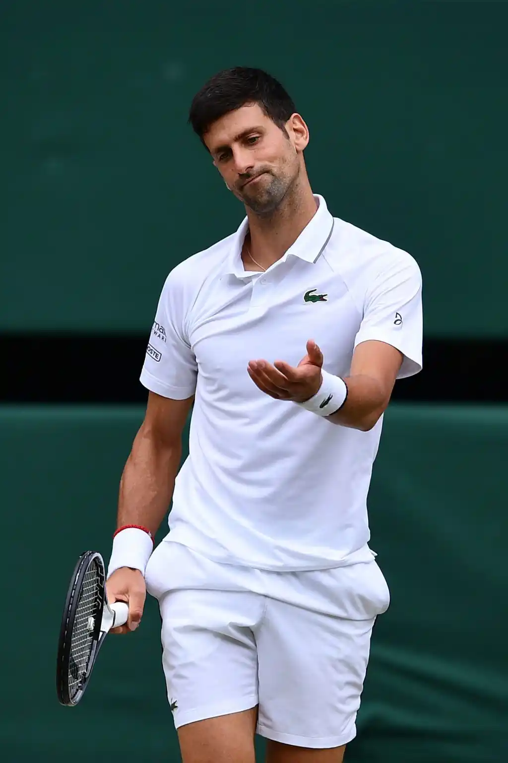 Djokovic se opone a una vacunación obligatoria