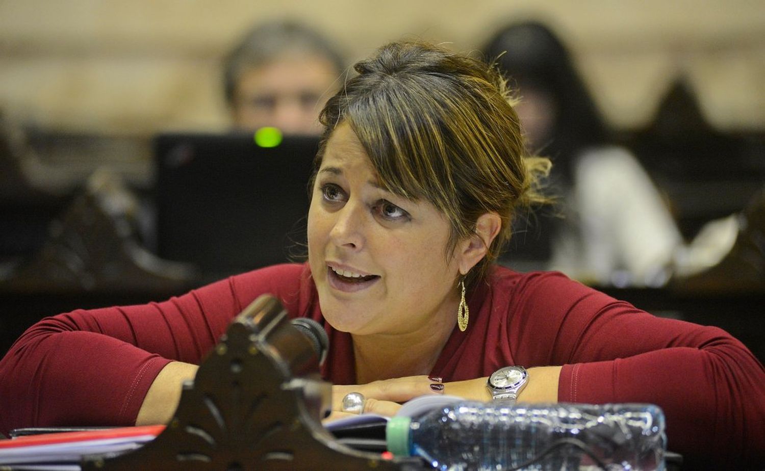 Gaillard volvió al Congreso tras su paso por el ministerio de Turismo entrerriano