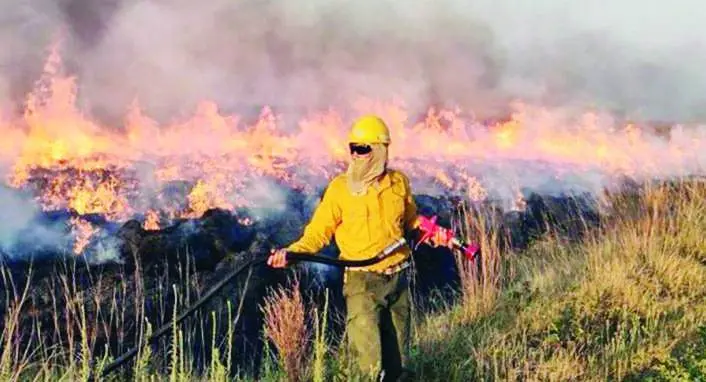 La asistencia de Cáritas, fundamental en los incendios de Corrientes y Misiones