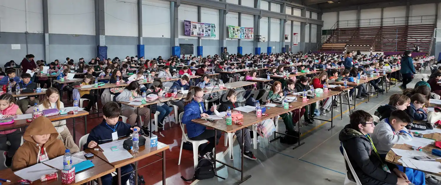 Olimpiada Matemática Ñandú