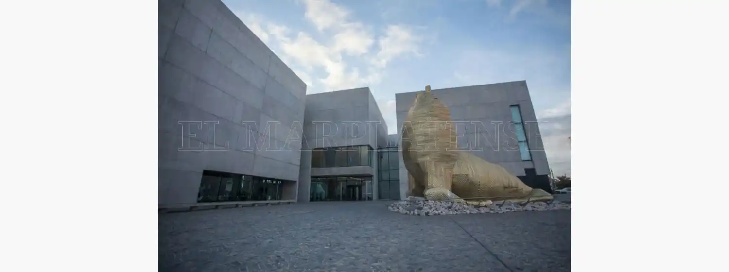 El Museo Mar lanza sus producciones originales