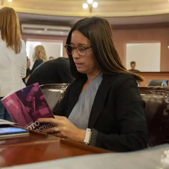 Un proyecto presentado por Rubattino se convirtió en ley