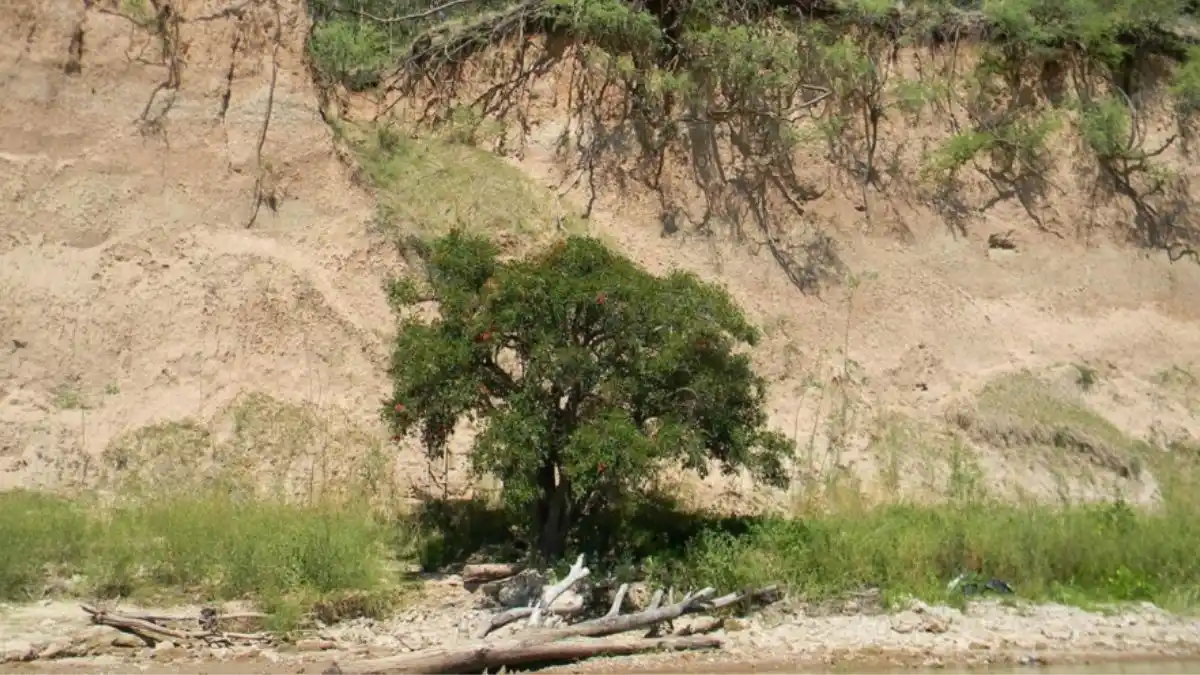 San Lorenzo: se cayó por la barranca y quedó tendido a la vera del río