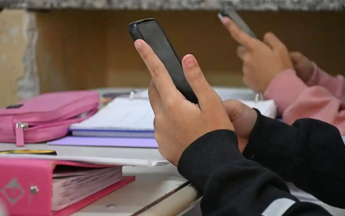 La iniciativa obtuvo despacho favorable en la comisión de Educación y continuará su tratamiento en la comisión de Legislación antes de llegar al recinto.