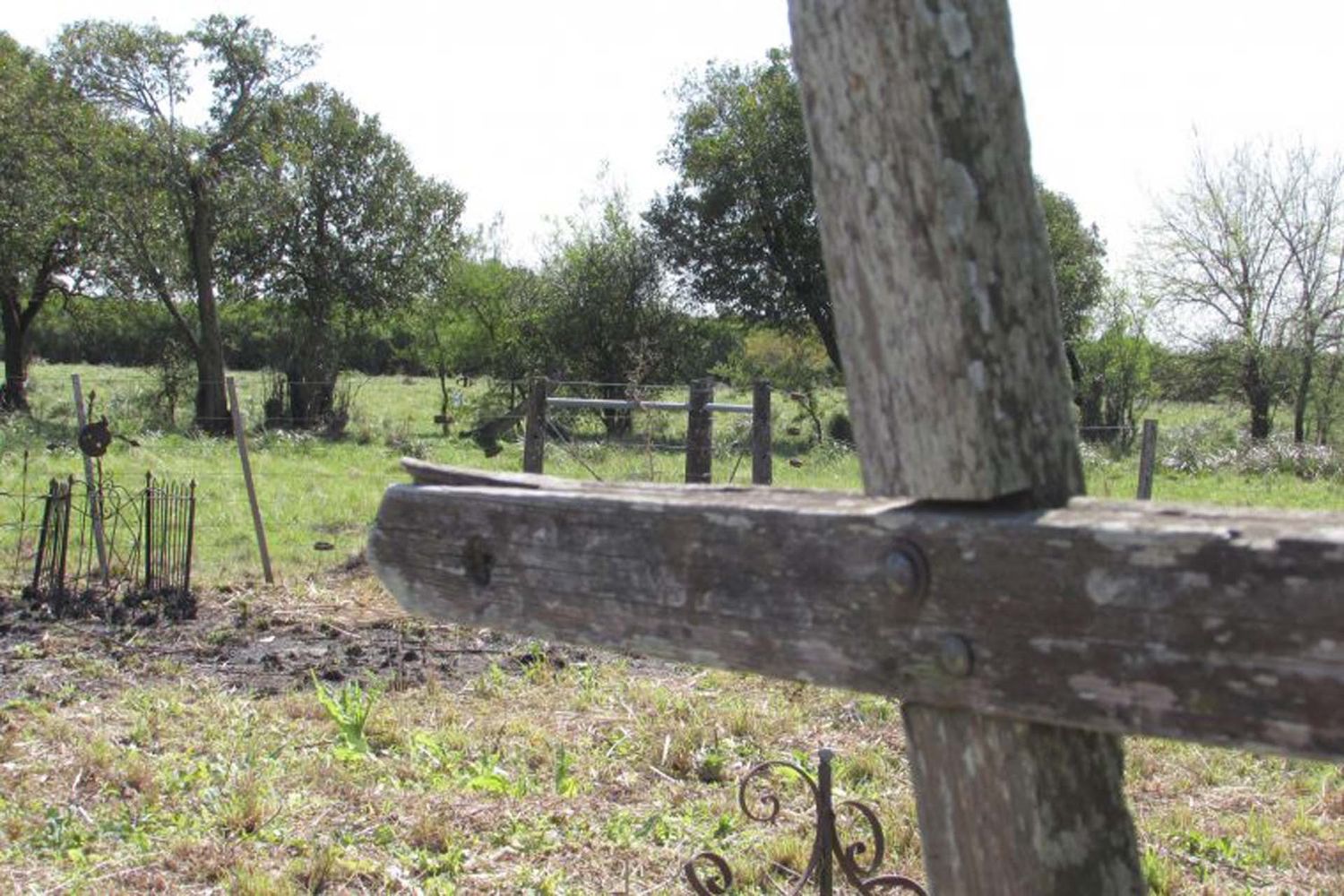Se trabaja en la puesta en valor del "cementerio de los negros"
