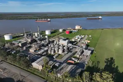 Exportaciones 2025: crece el envío de granos, bajan los dólares