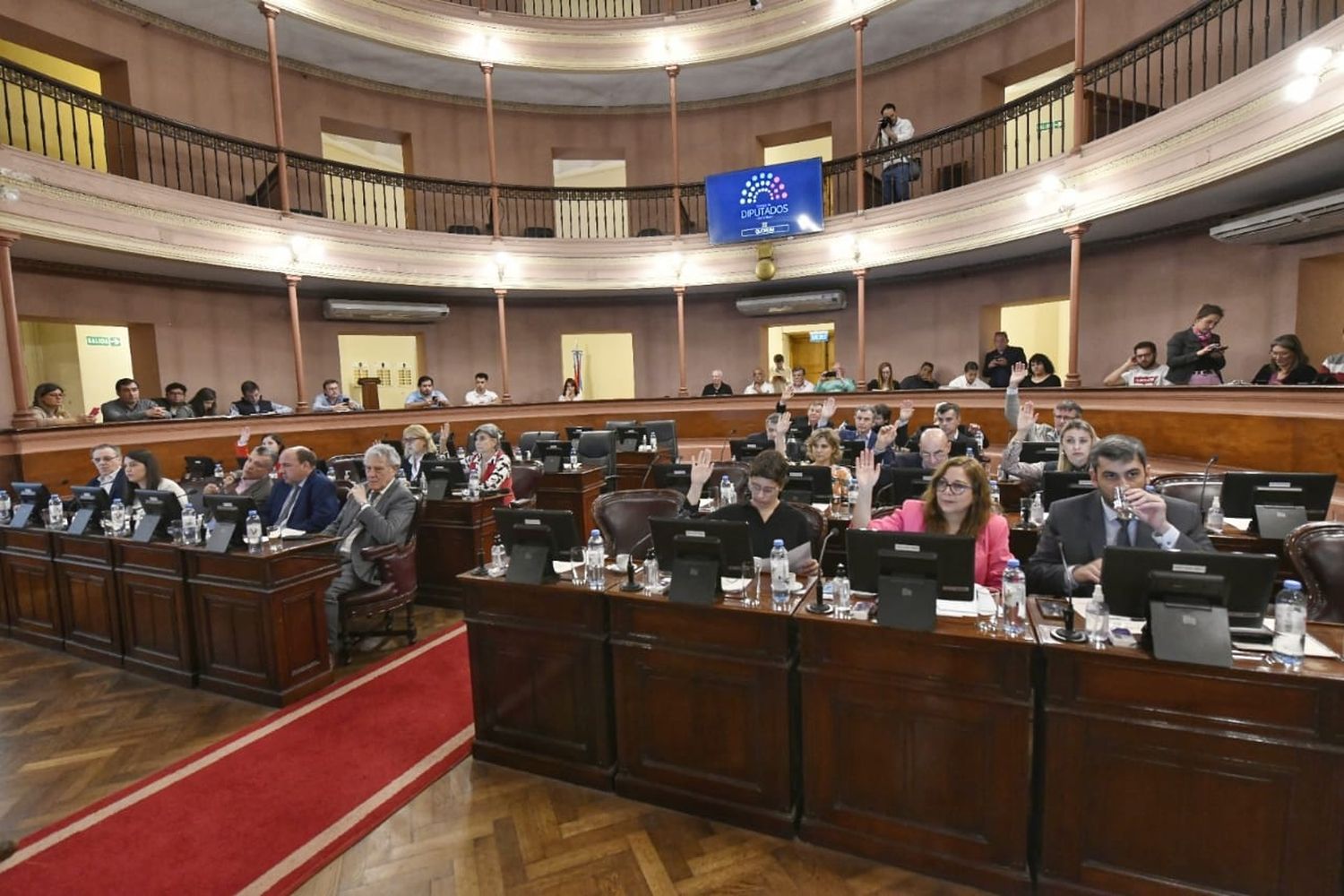 Legado Vasallo :diputados aprobó el proyecto de ley de dominio de inmuebles