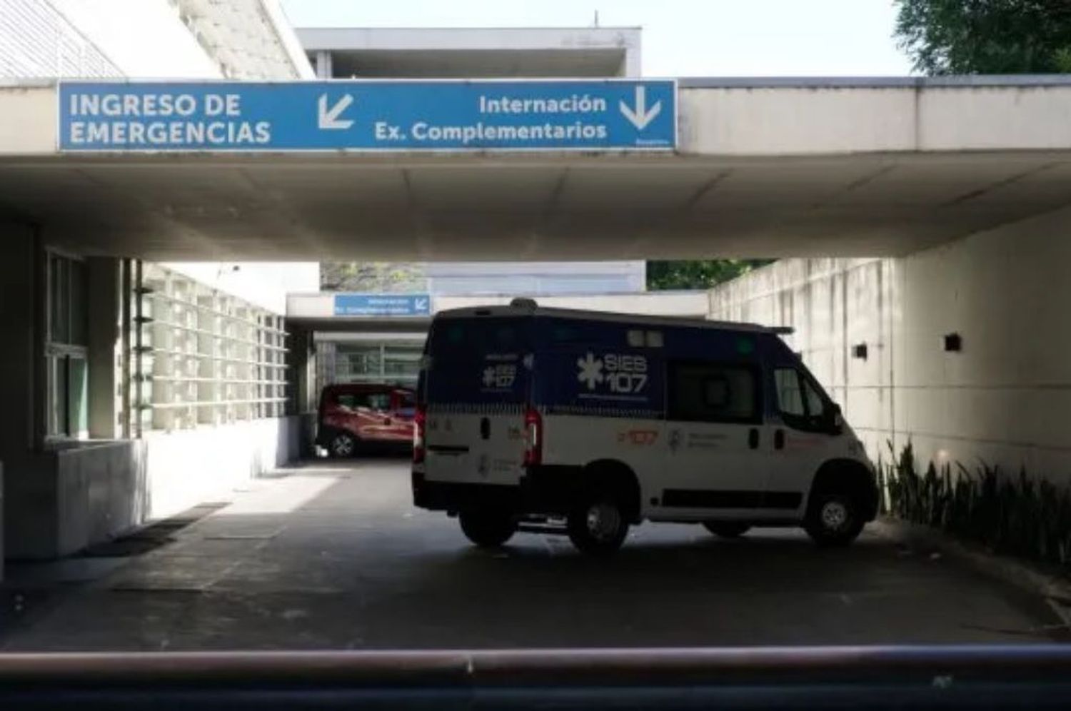 Adolescente muerto
