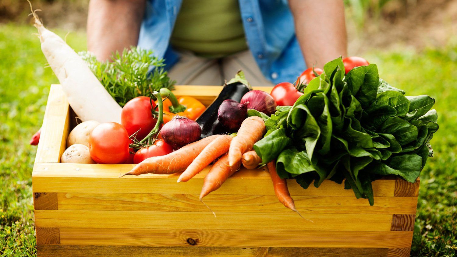 Se impulsa la alimentación sustentable y sostenible