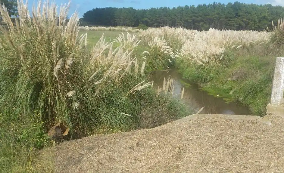 Niño mutilado en Ruta 11: Siguen investigando la identidad del pequeño