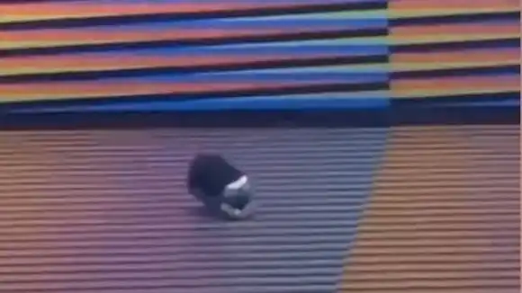 MIGRACIÓN VENEZOLANA: La tragedia que muchas familias viven en silencio