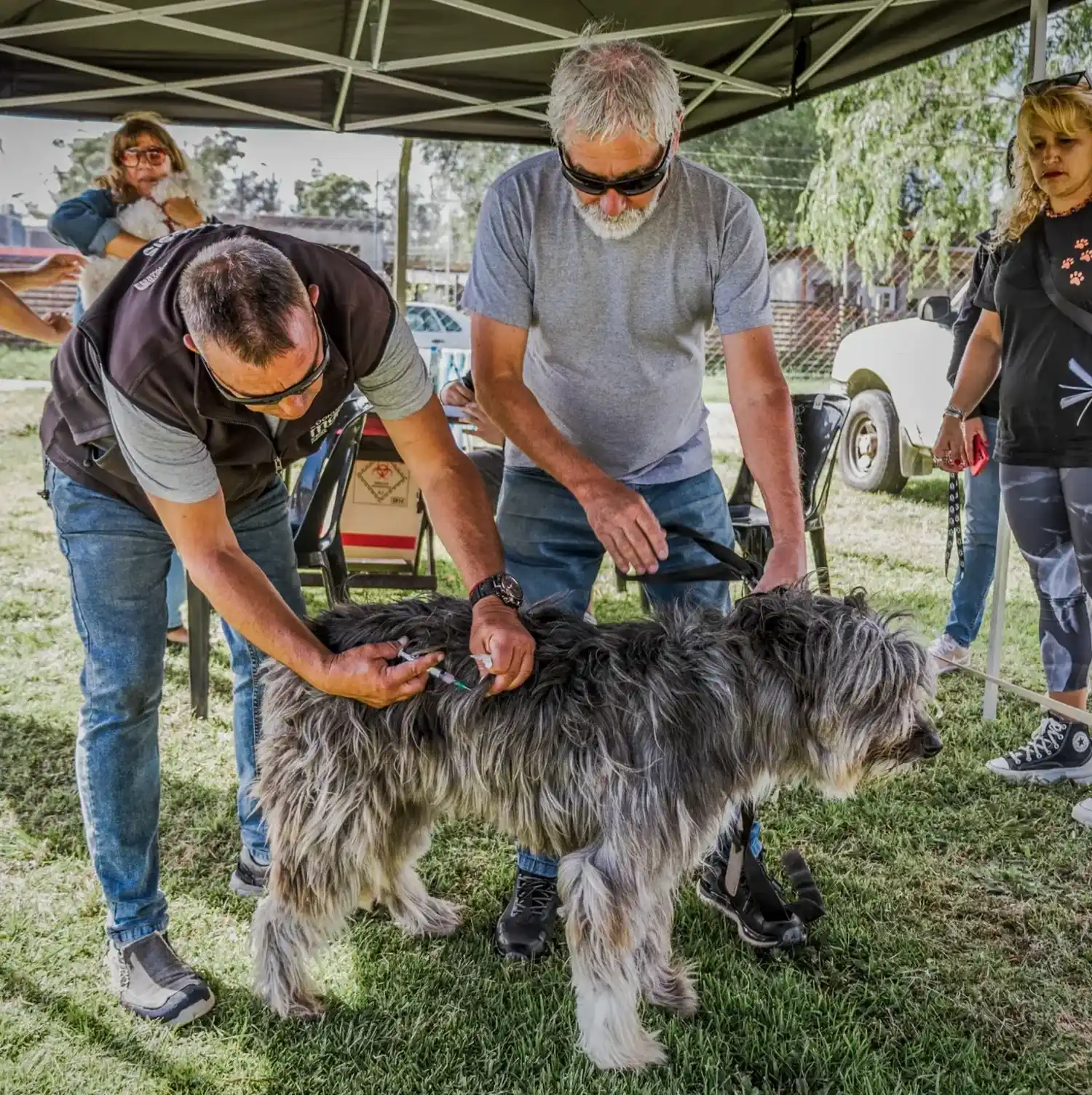 El programa de zoonosis recorrerá las Sociedad de Fomentos Los PInares y Villa Lourdes. Foto: Prensa MGP