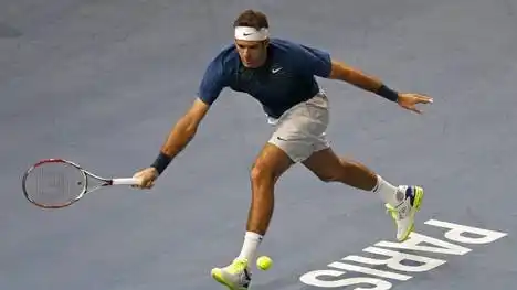 Masters 1000 de París: Del Potro venció a Dimitrov y clasificó a cuartos
