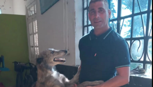Ringo: la historia del pequeño perrito que se reencontró con su familia