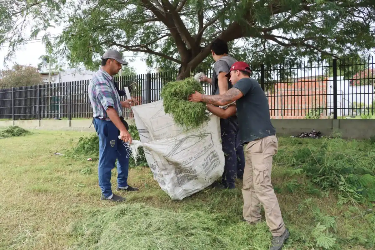 El Municipio colabora en la puesta a punto de las escuelas de la ciudad