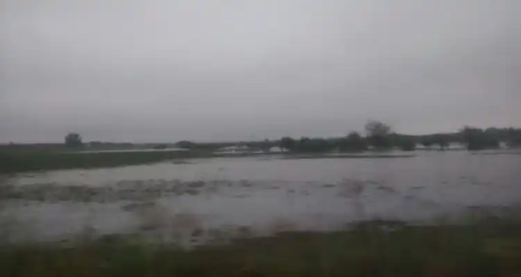 [VIDEOS] Imágenes de la lluvia de este viernes
