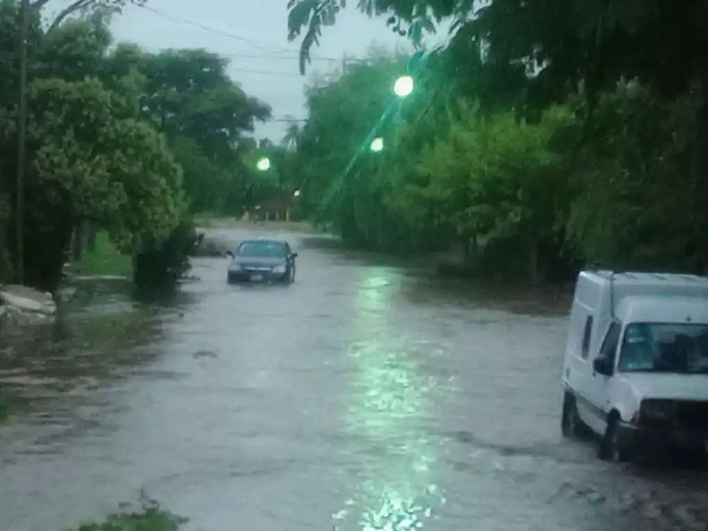 Temporal: así está Río Tala