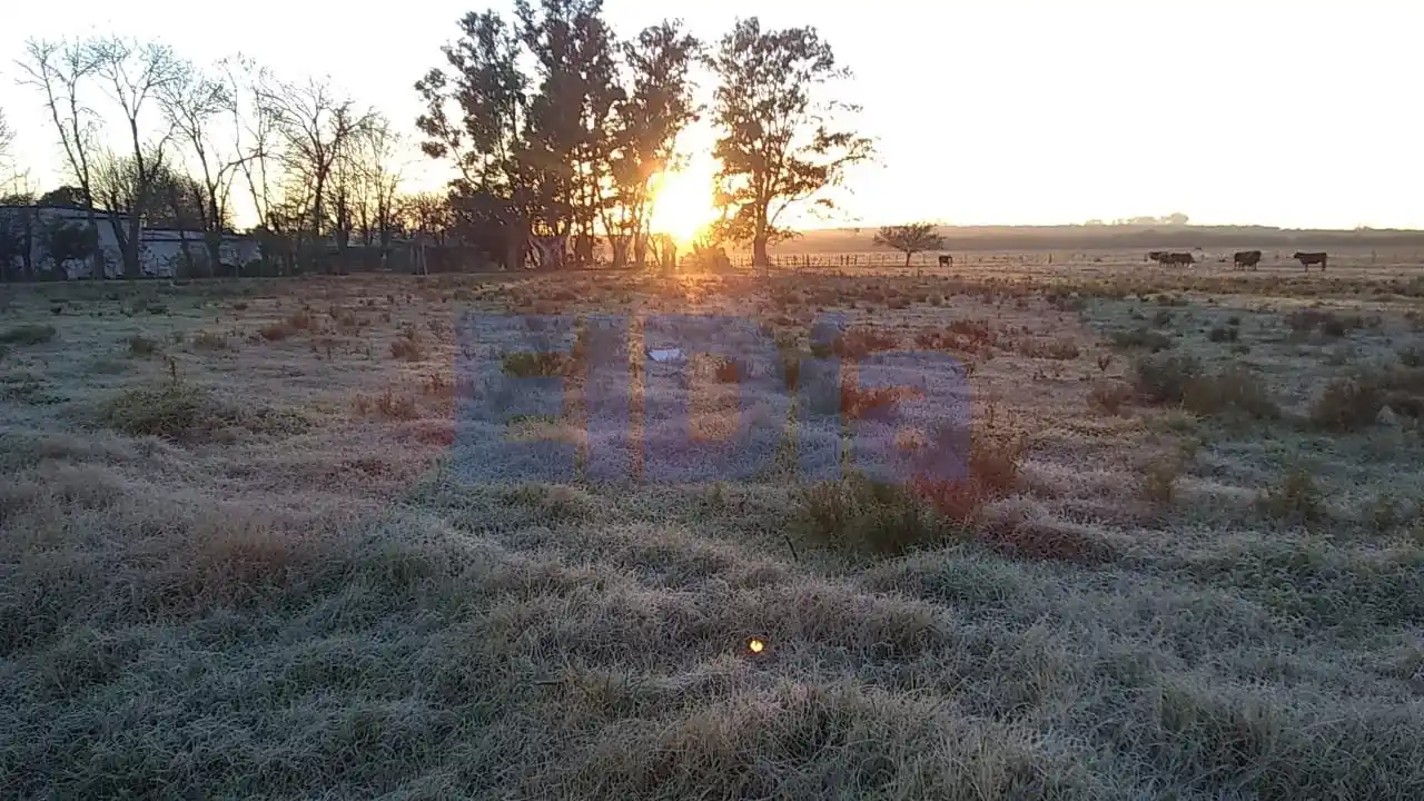 ¡3º bajo cero! Impresionante helada en Gualeguaychú este jueves