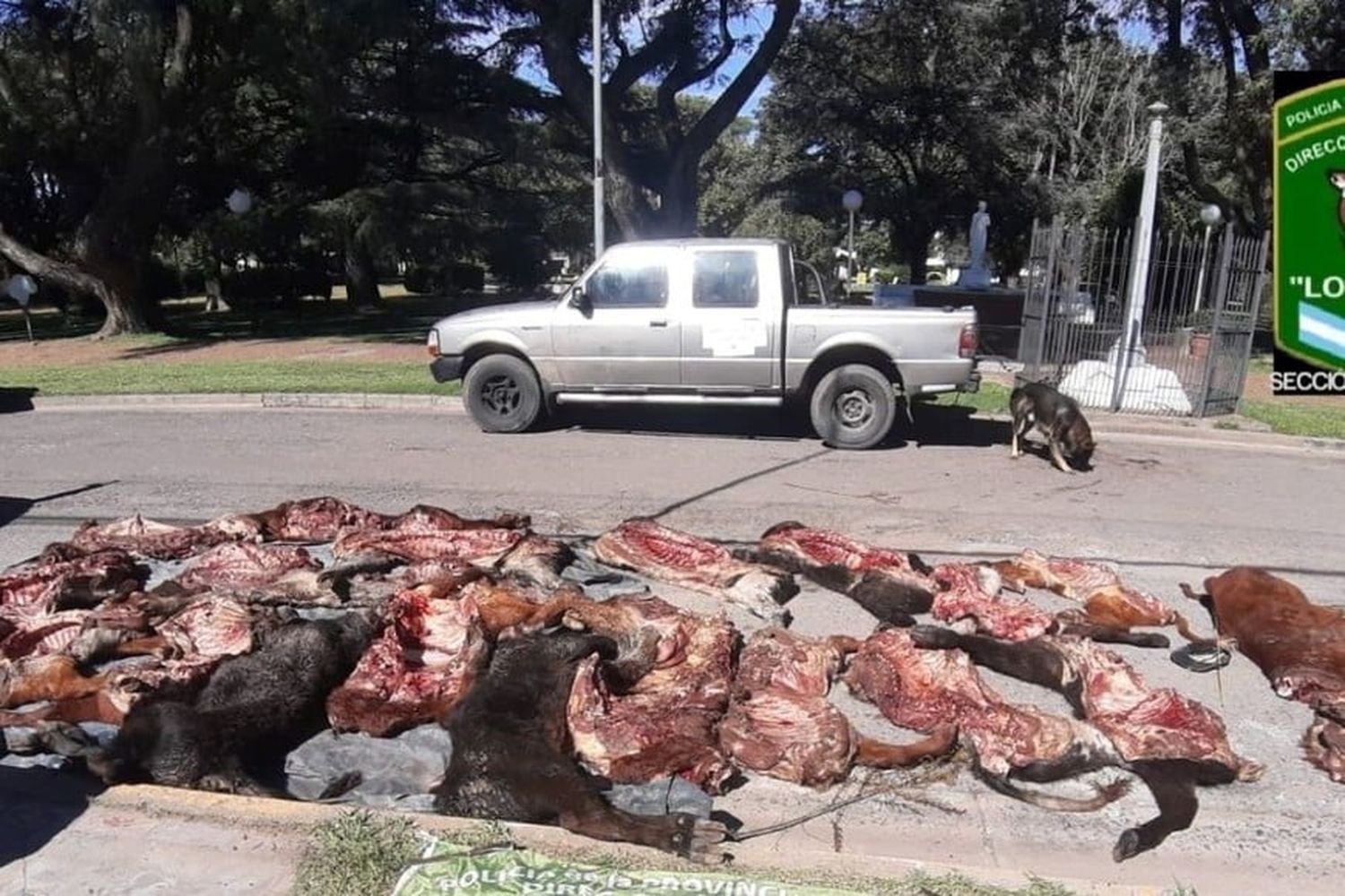 Ocurrió en la ruta 90