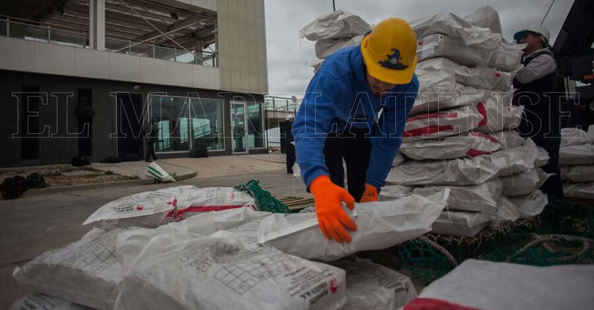 Vidal: "Estamos sosteniendo los ingresos de 7500 familias del Puerto"