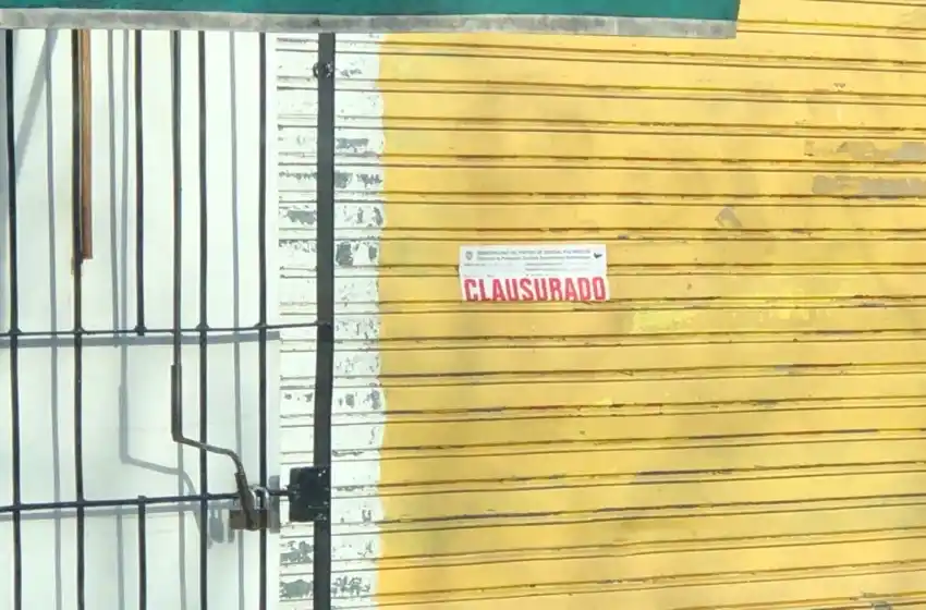 El municipio clausuró una despensa: encontraron ratas