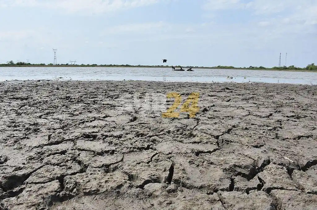 Elecciones 2021: 500 personalidades argentinas piden que los candidatos debatan el cambio climático