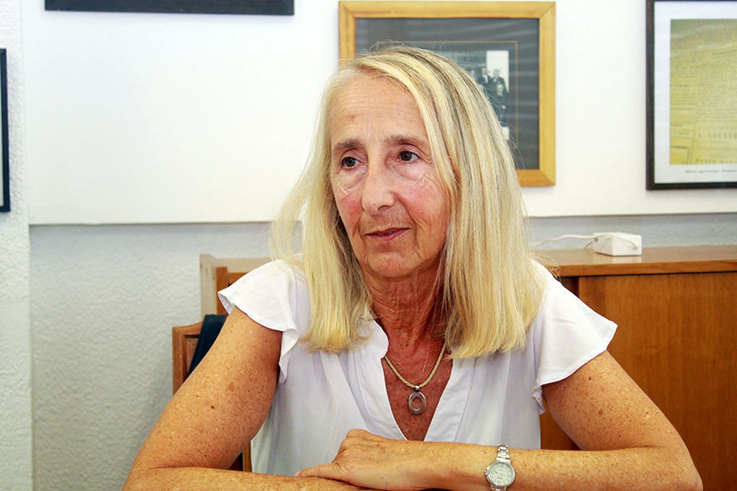 “Quien realmente quiera impulsar este país, tiene que enfocarse en el ferrocarril”