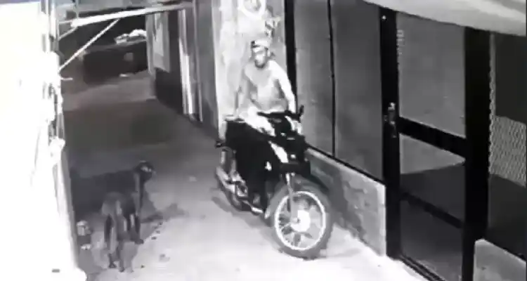 Le robaron la moto y la policía la encontró destrozada: el ladrón fue filmado pero está libre