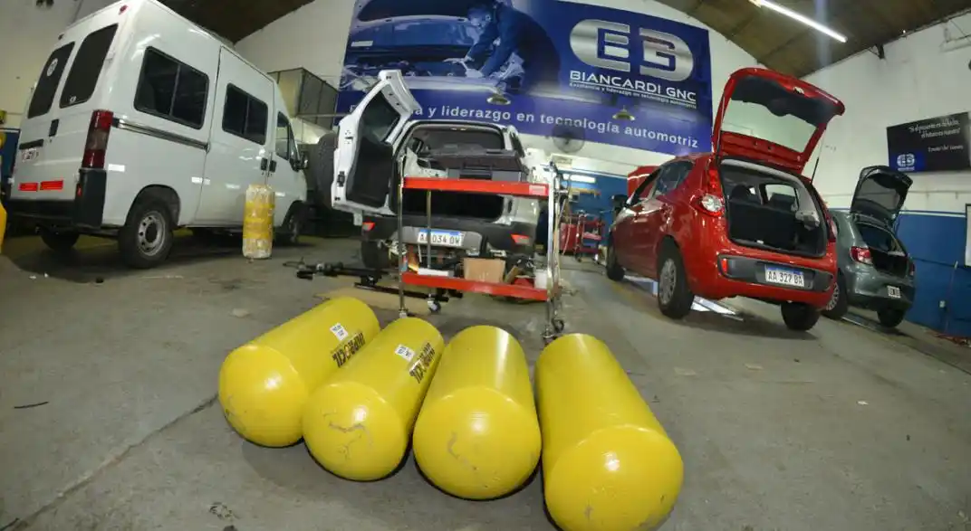 La colocación de equipos cayó un 50% este año.